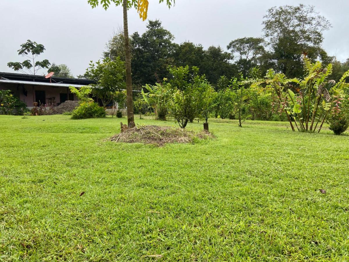 Casa Danta Villa Drake Bay Exterior photo